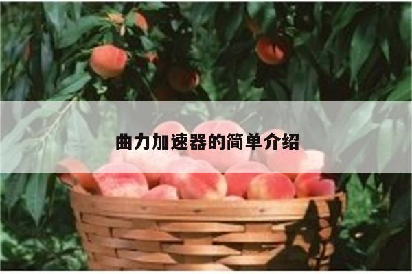 曲力加速器的简单介绍