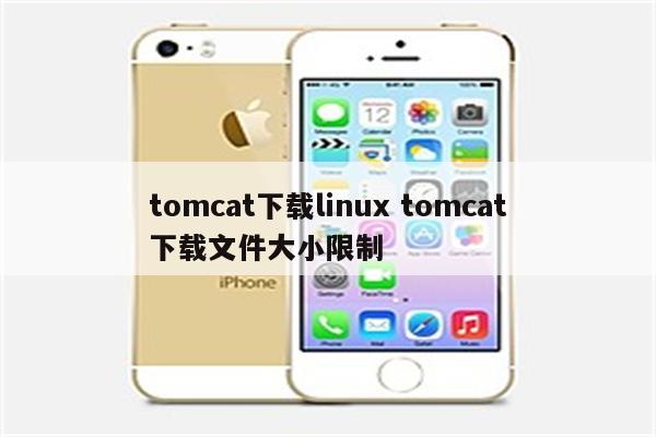 tomcat下载linux tomcat下载文件大小限制
