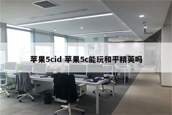 苹果5cid 苹果5c能玩和平精英吗