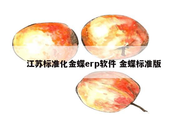 江苏标准化金蝶erp软件 金蝶标准版