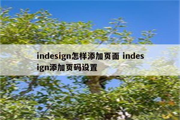 indesign怎样添加页面 indesign添加页码设置