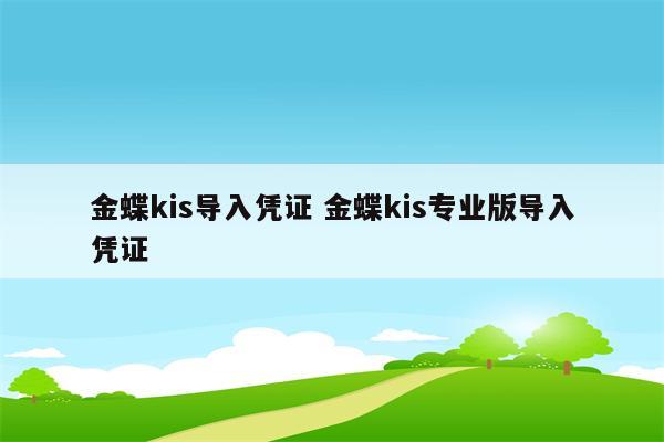 金蝶kis导入凭证 金蝶kis专业版导入凭证