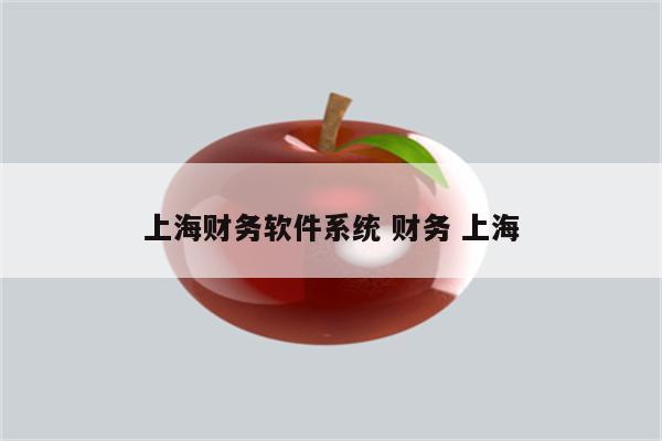 上海财务软件系统 财务 上海