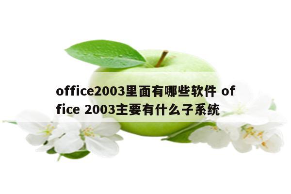 office2003里面有哪些软件 office 2003主要有什么子系统