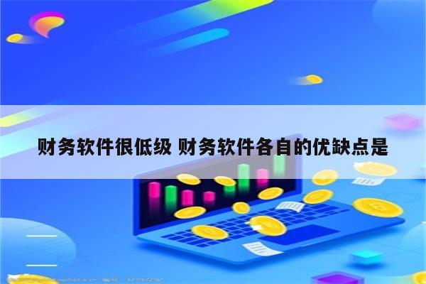 财务软件很低级 财务软件各自的优缺点是