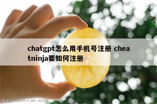 chatgpt怎么用手机号注册 cheatninja要如何注册