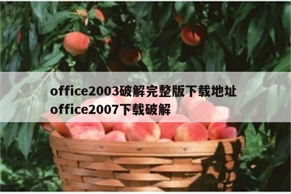 office2003破解完整版下载地址 office2007下载破解
