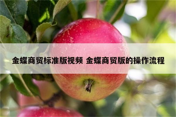 金蝶商贸标准版视频 金蝶商贸版的操作流程