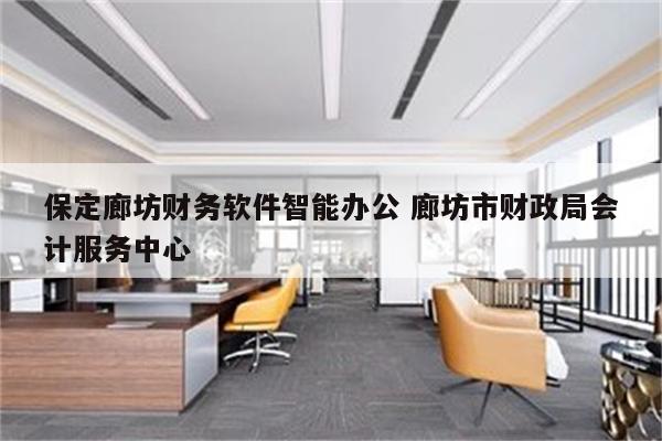 保定廊坊财务软件智能办公 廊坊市财政局会计服务中心
