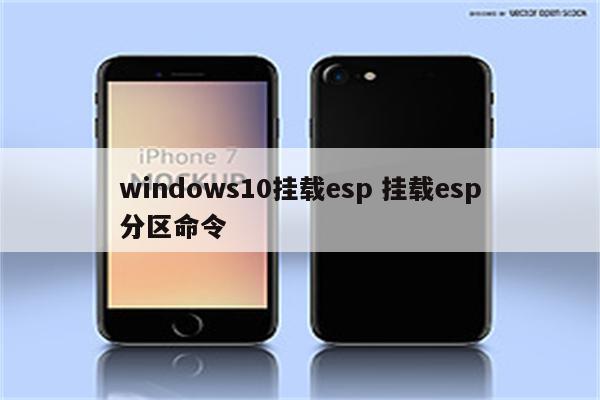 windows10挂载esp 挂载esp分区命令