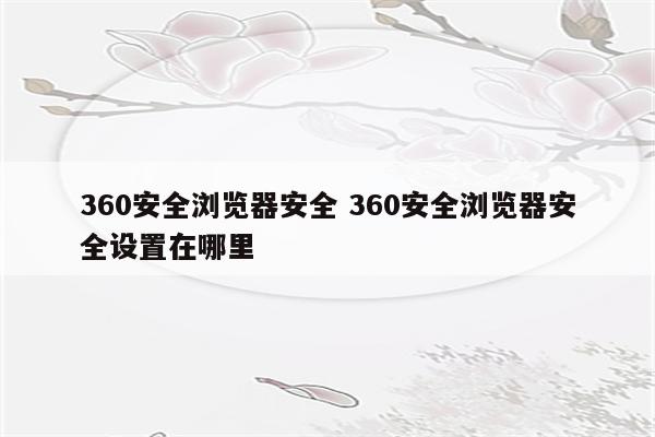 360安全浏览器安全 360安全浏览器安全设置在哪里