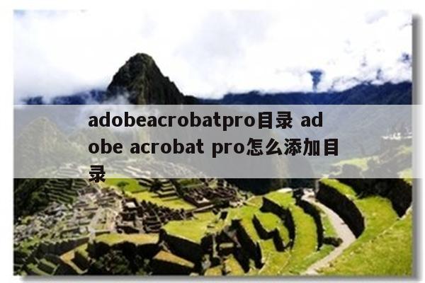adobeacrobatpro目录 adobe acrobat pro怎么添加目录