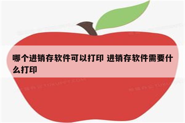 哪个进销存软件可以打印 进销存软件需要什么打印