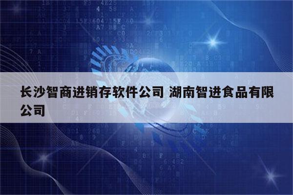 长沙智商进销存软件公司 湖南智进食品有限公司