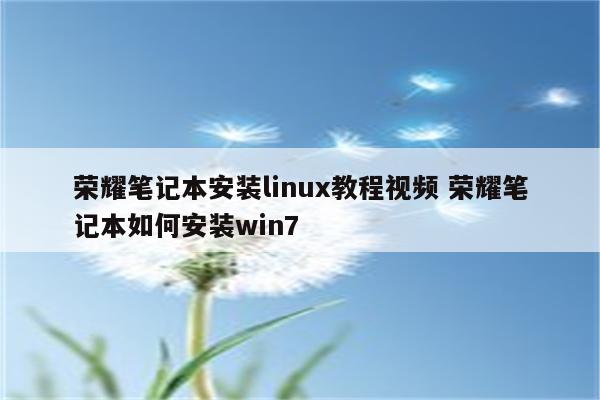 荣耀笔记本安装linux教程视频 荣耀笔记本如何安装win7