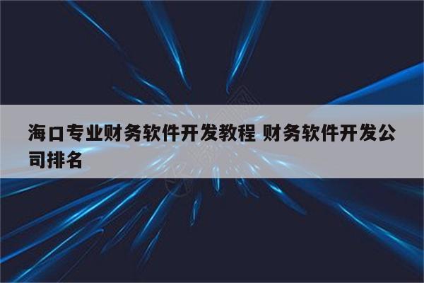 海口专业财务软件开发教程 财务软件开发公司排名