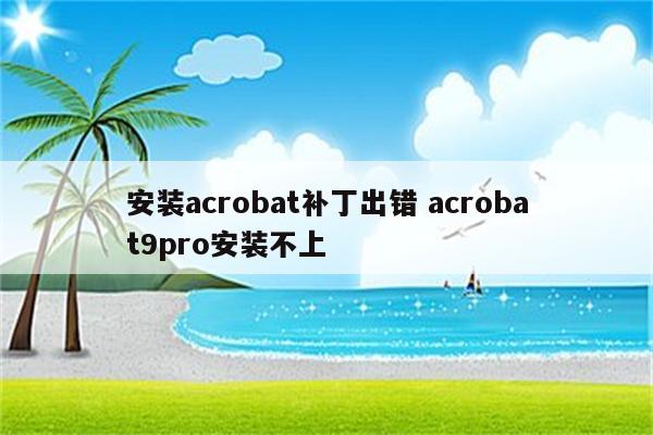 安装acrobat补丁出错 acrobat9pro安装不上