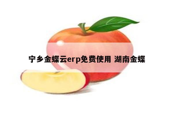 宁乡金蝶云erp免费使用 湖南金蝶