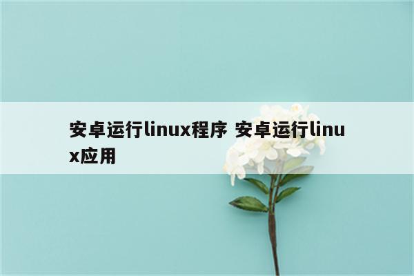 安卓运行linux程序 安卓运行linux应用