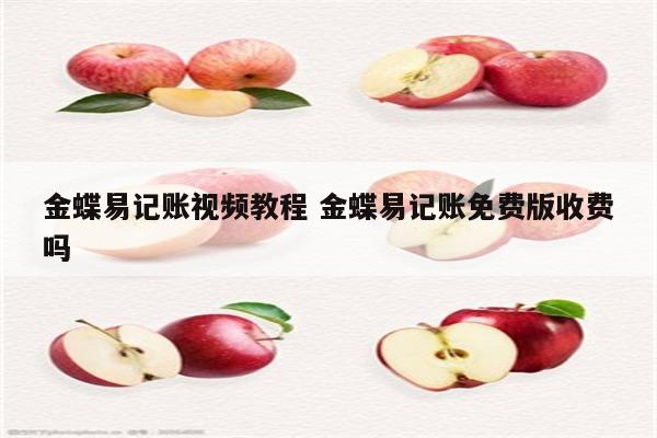 金蝶易记账视频教程 金蝶易记账免费版收费吗