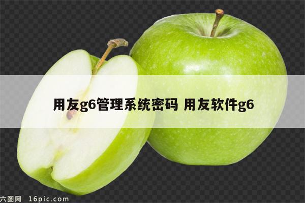 用友g6管理系统密码 用友软件g6