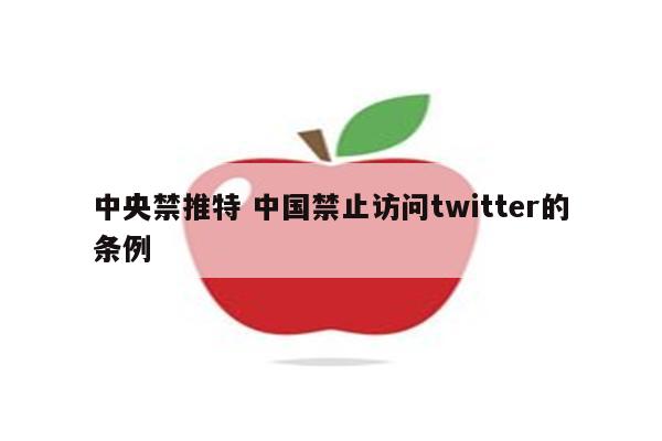 中央禁推特 中国禁止访问twitter的条例