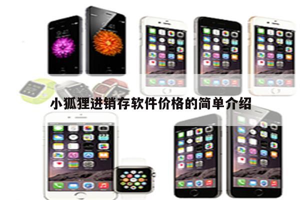 小狐狸进销存软件价格的简单介绍