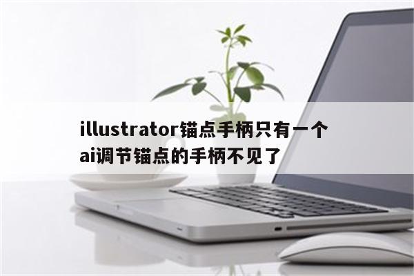 illustrator锚点手柄只有一个 ai调节锚点的手柄不见了