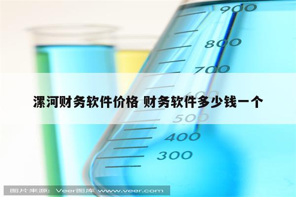 漯河财务软件价格 财务软件多少钱一个