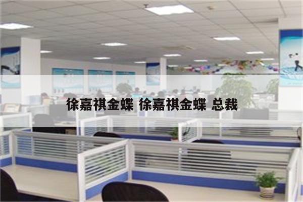 徐嘉祺金蝶 徐嘉祺金蝶 总裁