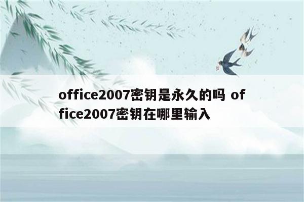 office2007密钥是永久的吗 office2007密钥在哪里输入