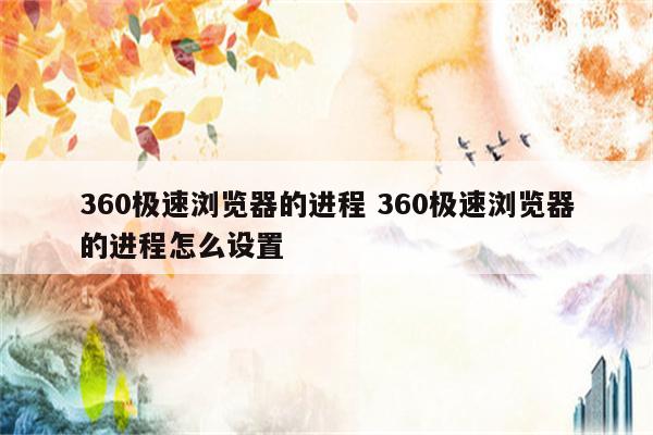 360极速浏览器的进程 360极速浏览器的进程怎么设置