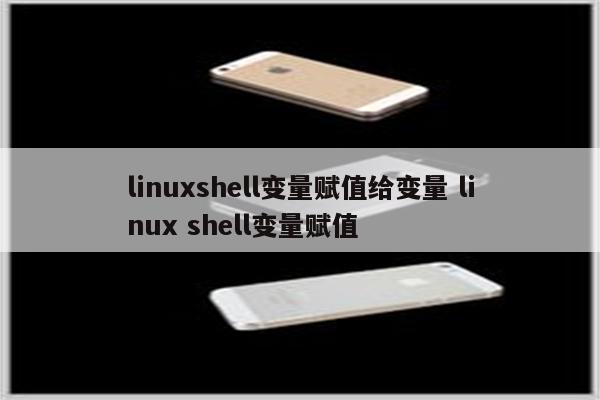linuxshell变量赋值给变量 linux shell变量赋值