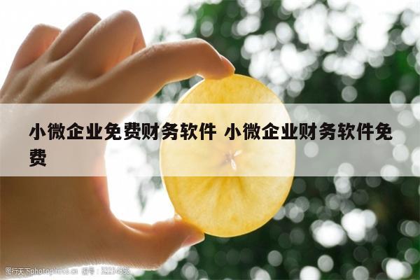 小微企业免费财务软件 小微企业财务软件免费