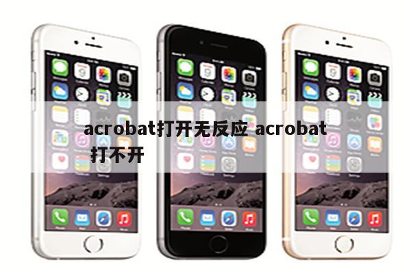 acrobat打开无反应 acrobat 打不开
