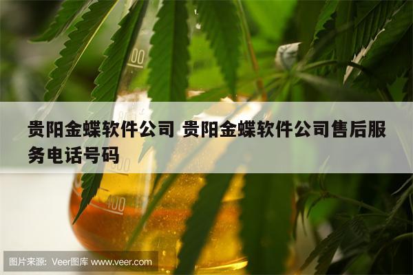 贵阳金蝶软件公司 贵阳金蝶软件公司售后服务电话号码