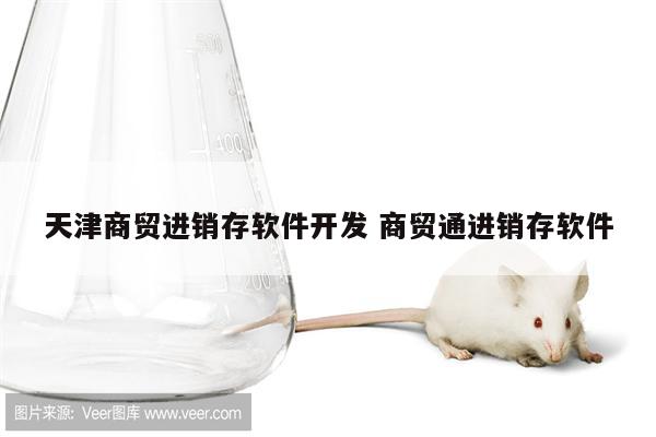 天津商贸进销存软件开发 商贸通进销存软件