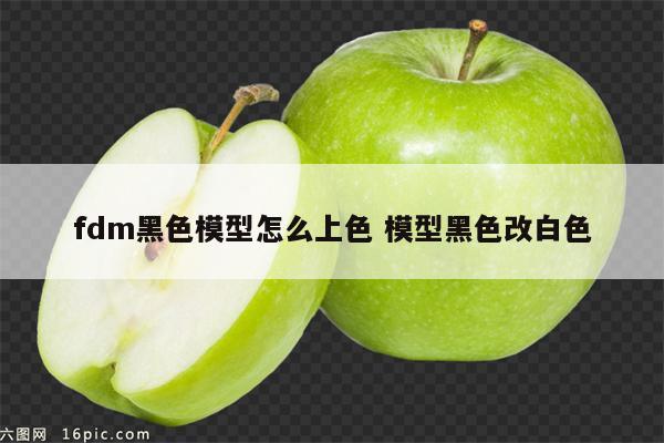 fdm黑色模型怎么上色 模型黑色改白色