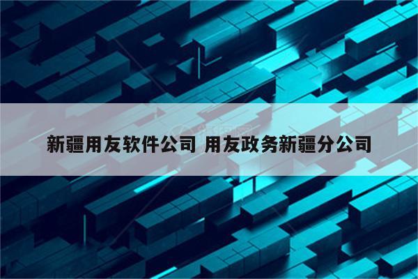 新疆用友软件公司 用友政务新疆分公司