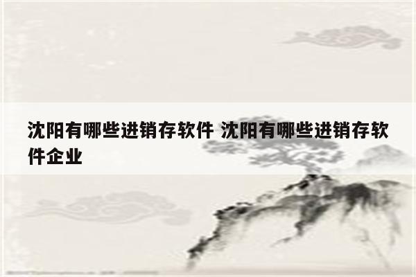 沈阳有哪些进销存软件 沈阳有哪些进销存软件企业