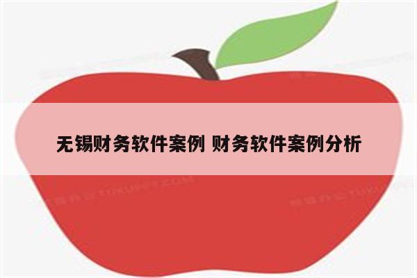 无锡财务软件案例 财务软件案例分析