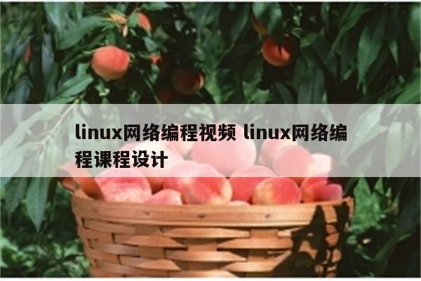 linux网络编程视频 linux网络编程课程设计