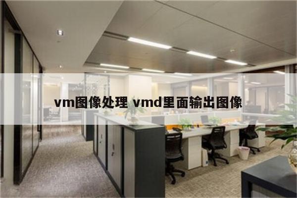 vm图像处理 vmd里面输出图像
