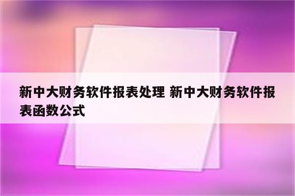新中大财务软件报表处理 新中大财务软件报表函数公式