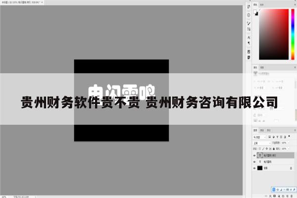贵州财务软件贵不贵 贵州财务咨询有限公司