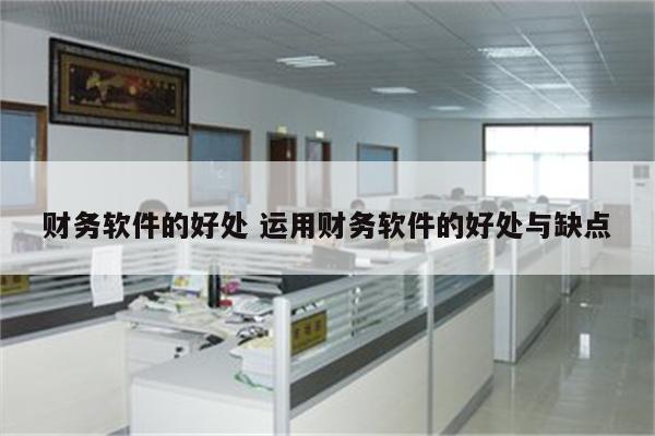 财务软件的好处 运用财务软件的好处与缺点
