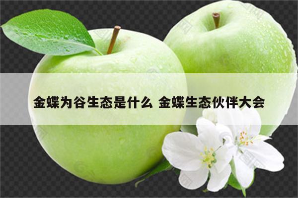 金蝶为谷生态是什么 金蝶生态伙伴大会