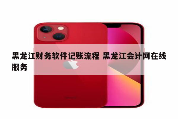 黑龙江财务软件记账流程 黑龙江会计网在线服务