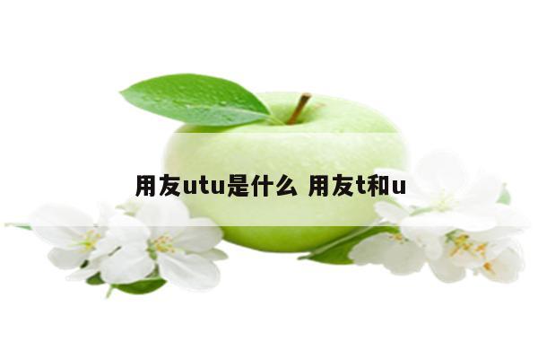 用友utu是什么 用友t和u