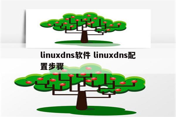 linuxdns软件 linuxdns配置步骤